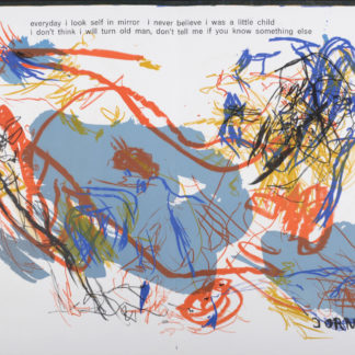 Ncag art gallery jorn asger ugs 10363