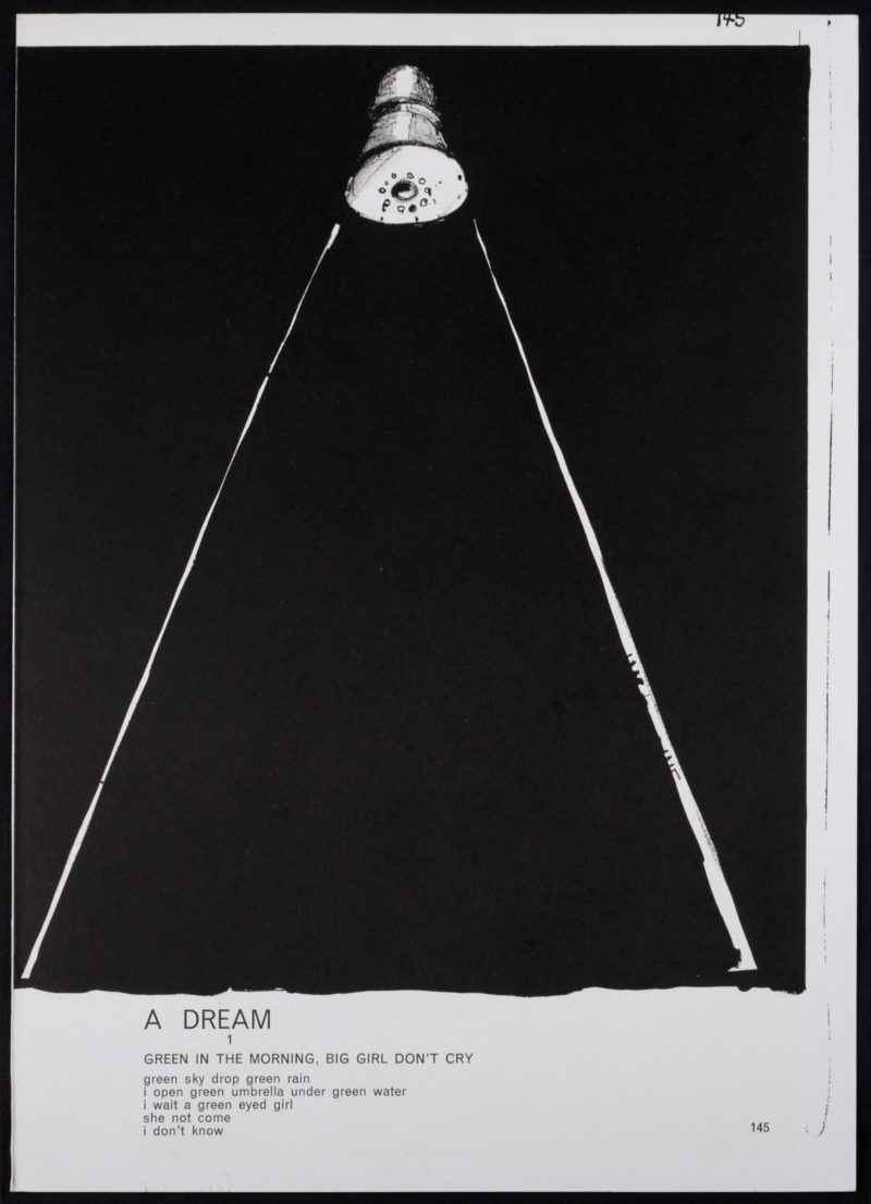 Jim Dine - A Dream, 1964 - Image 2