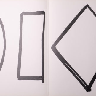ncag art gallery KELLY Ellsworth UGS 11748