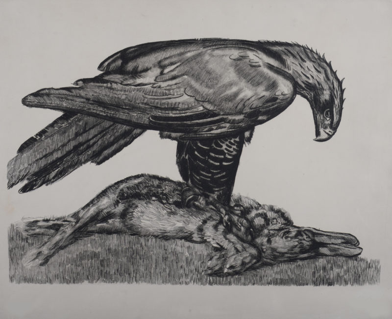 ncag art gallery JOUVE Paul UGS 11806