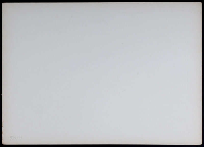Dsc 1539 5