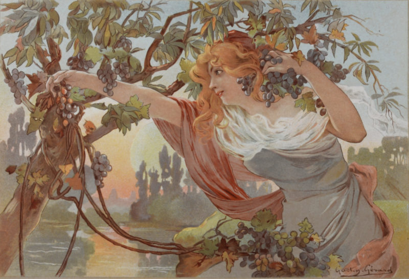 Gaston Gérard - Raisins, 1900