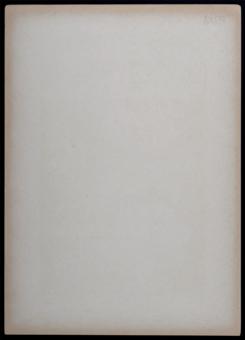 Gaston Gérard - Clématites, 1900 – Image 5