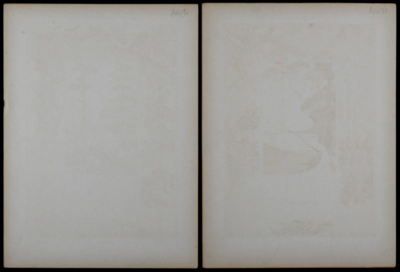 Séguy - Automne and Hiver, 1900 - Set of 2 lithographs! - Image 9