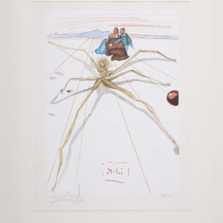 ncag art gallery DALI Salvador UGS 13073