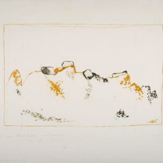 Ncag art gallery music zoran ugs 12947