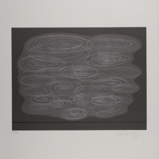 Ncag Art Gallery Vasarely Victor Ugs 13377 1