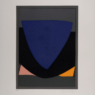 ncag art gallery VASARELY Victor UGS 13390
