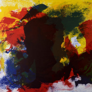 Ncag Art Gallery Jenkins Paul Ugs 13666