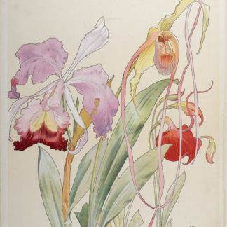 ncag art gallery PRIVAT LIVEMONT Henri UGS 15681