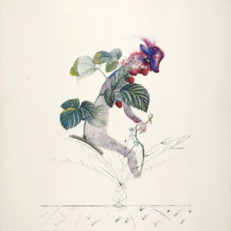 Ncag Art Gallery Dali Salvador Ugs 18000