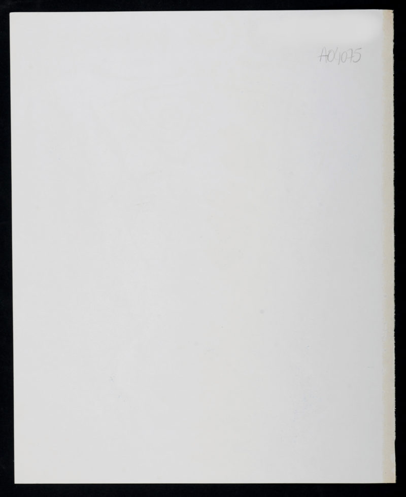 Andre Masson - Composition, 1972 - Image 5