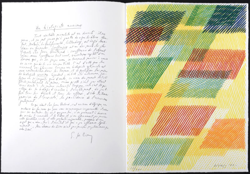 Piero Dorazio - Un biologiste anxieux, 1987 - Hand-signed - Image 2