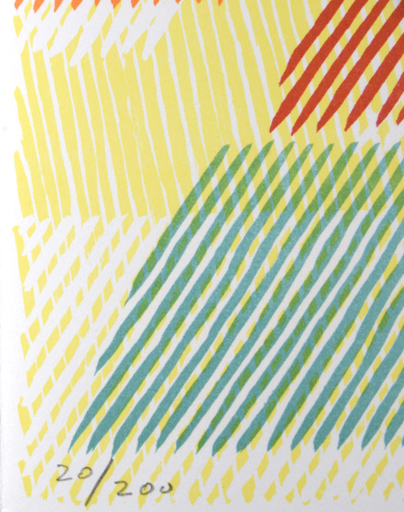 Piero Dorazio - Un biologiste anxieux, 1987 - Hand-signed - Image 6