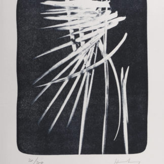 Ncag Art Gallery Hartung Hans Ugs 19104