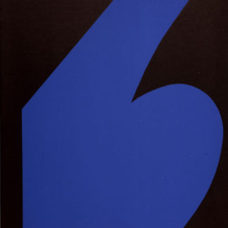 ncag art gallery KELLY Ellsworth UGS 19419-1