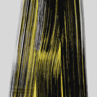 ncag art gallery HARTUNG Hans UGS 19493