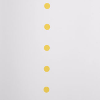 ncag art gallery PRANTL Karl UGS 19738