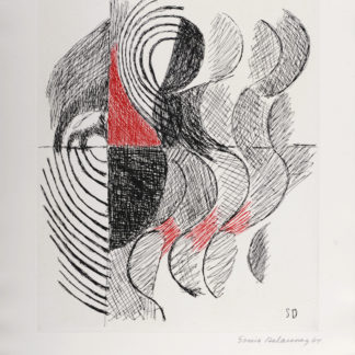 ncag art gallery DELAUNAY Sonia UGS 19533-1