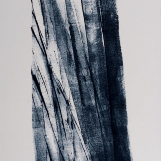 ncag art gallery HARTUNG Hans UGS 19200-1