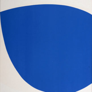 Ncag art gallery kelly ellsworth ugs 19431