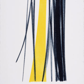 ncag art gallery HARTUNG Hans UGS 19274-1