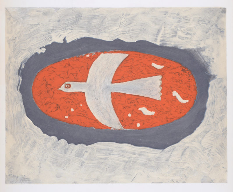 Braque Oiseau 3