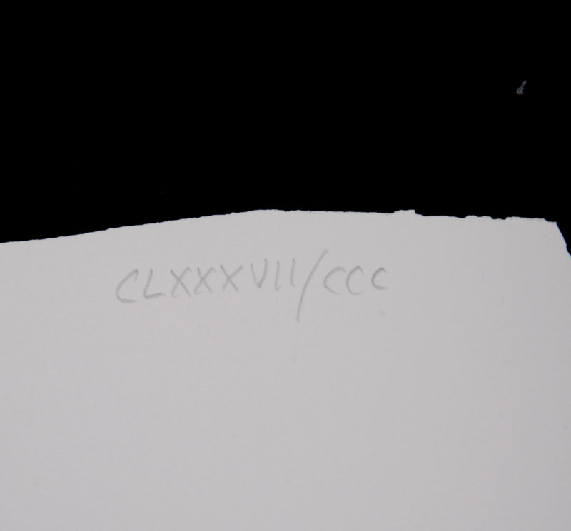 Dsc 6565 5