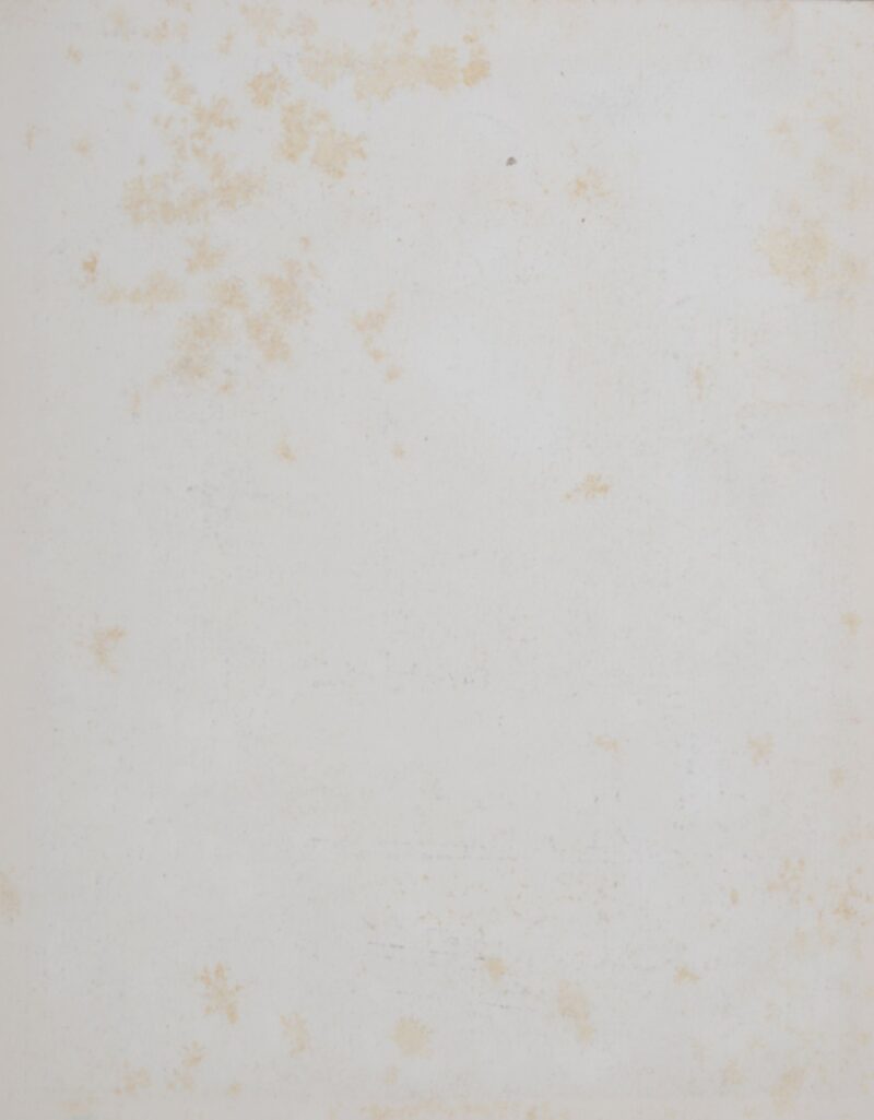 Dsc 7065 4