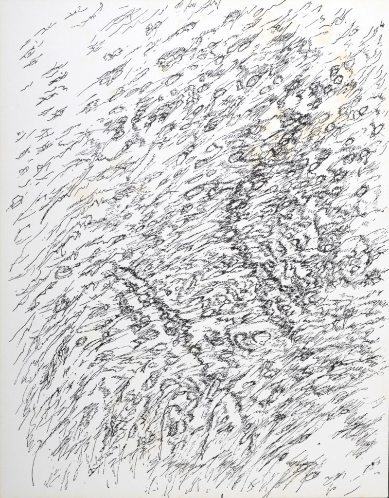 Dsc 7250 1