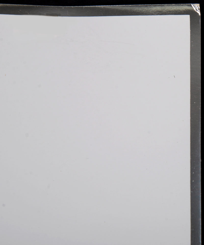 Dsc 7981 7