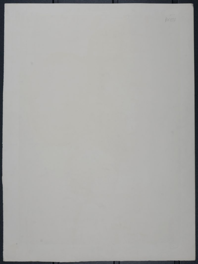 Dsc 8013 7