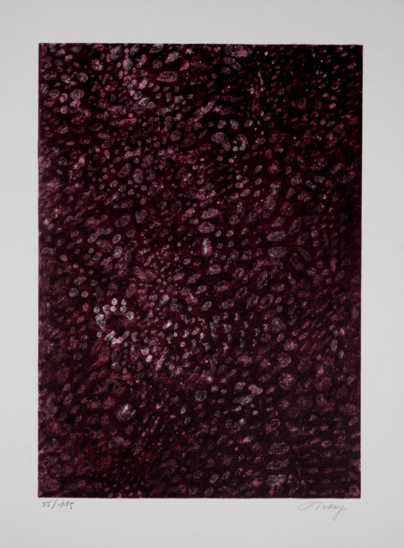 Dsc 1334 1