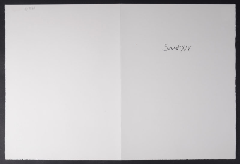 Dsc 1373 5