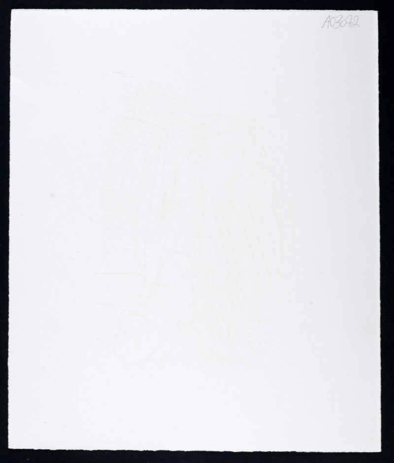 Dsc 3703 5