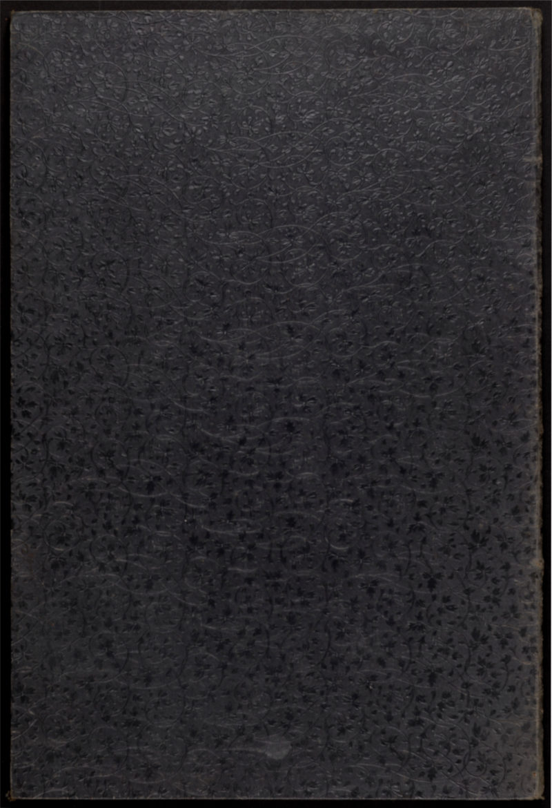 Dsc 7890 11