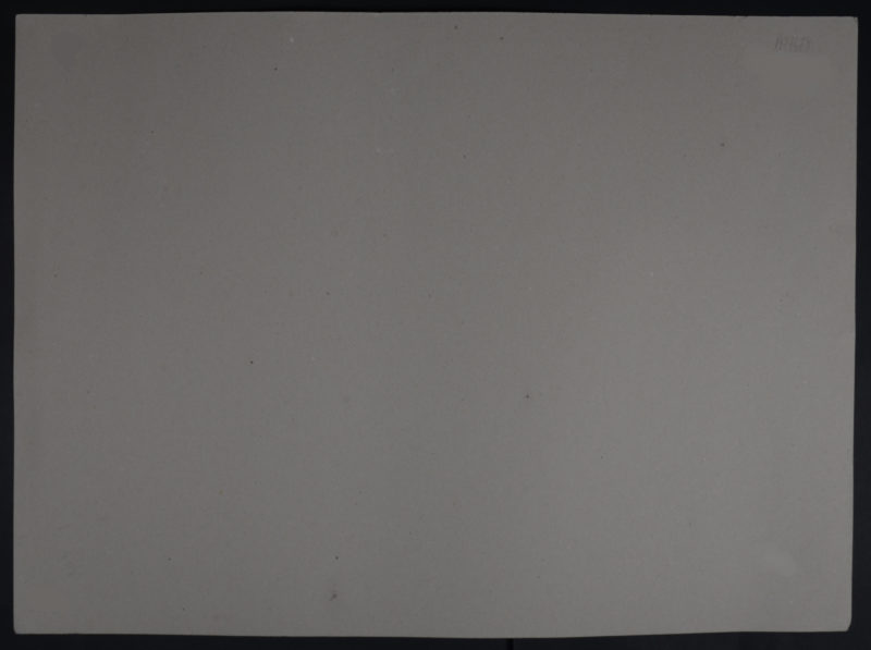 Dsc 3888 5