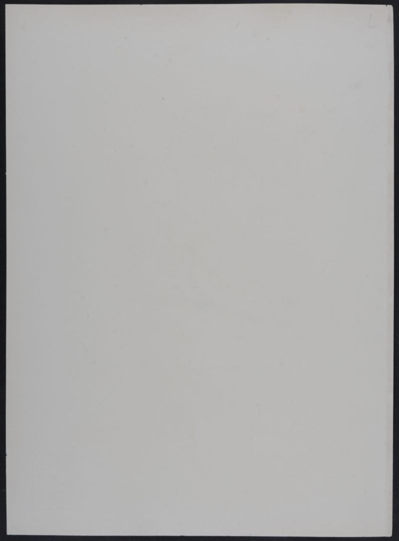 Dsc 3164 6