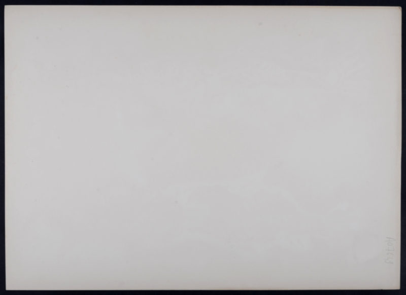 Dsc 3226 5