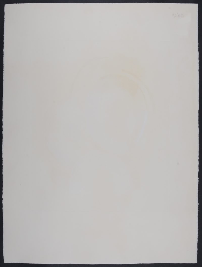 Dsc 3831 6