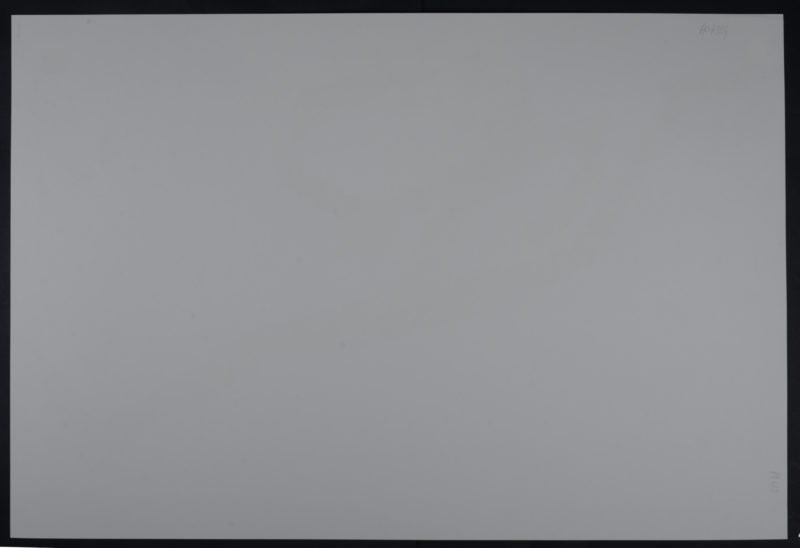Back Horizontal