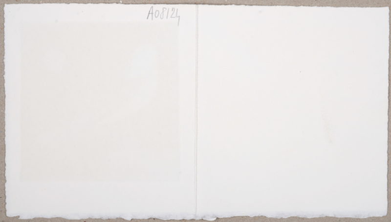 Dsc 4527 4