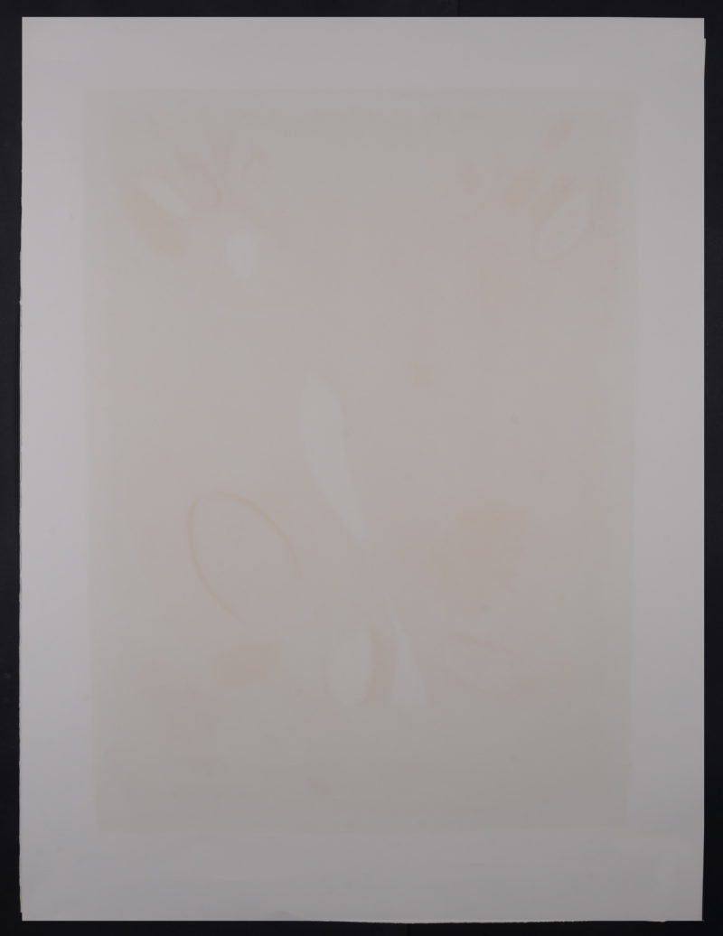 Dsc 4773 5
