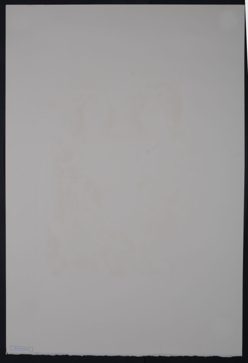 Dsc 4879 5