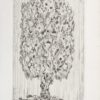 Dsc 5326 1