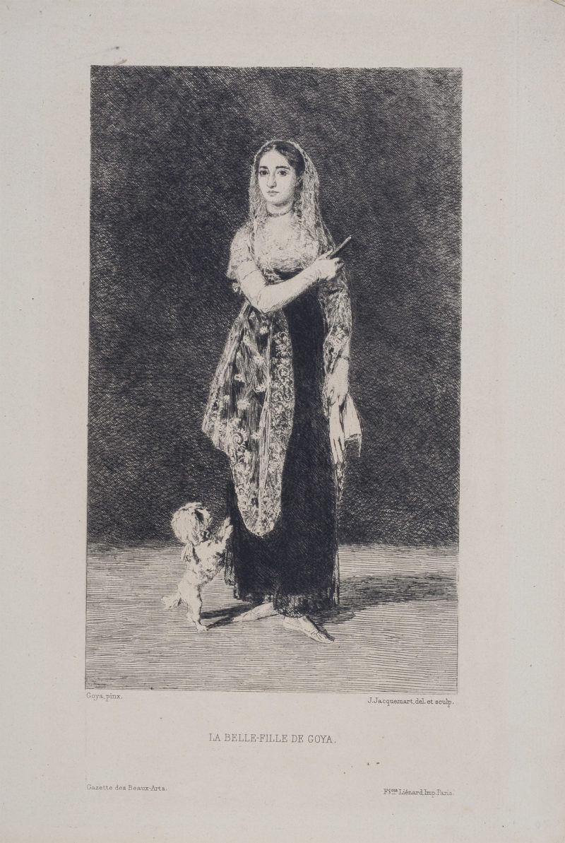 Francisco de Goya : La Belle-Fille de Goya, 1873