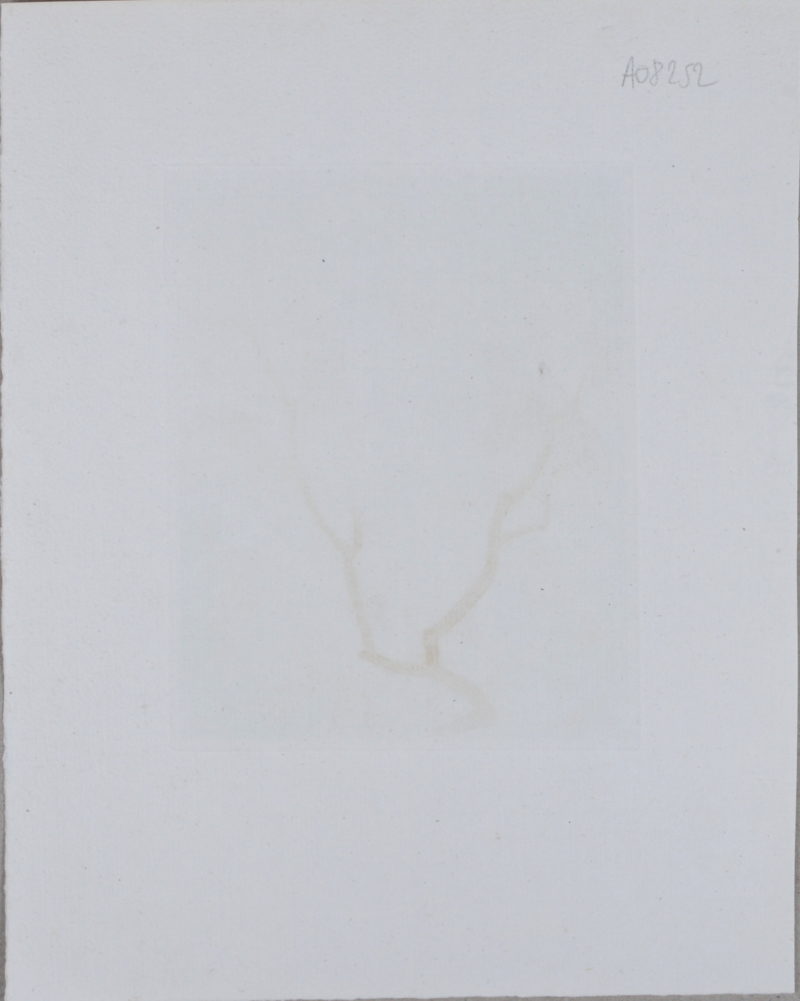 Dsc 5519 5