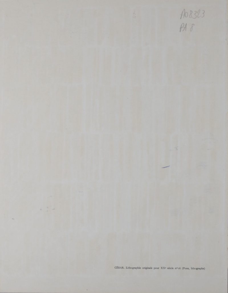 Dsc 5561 4