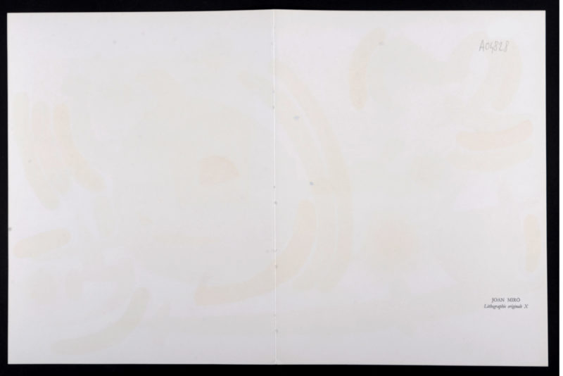 Dsc 3693 5