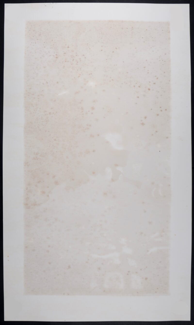 Dsc 6352 6